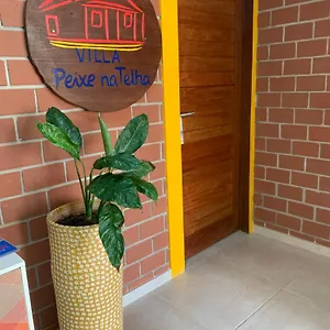 Peixe Na Telha Brazil